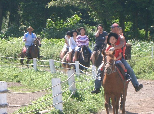 d173e7edd3543f16f13c697b62c91080_1559529092_4017.JPG